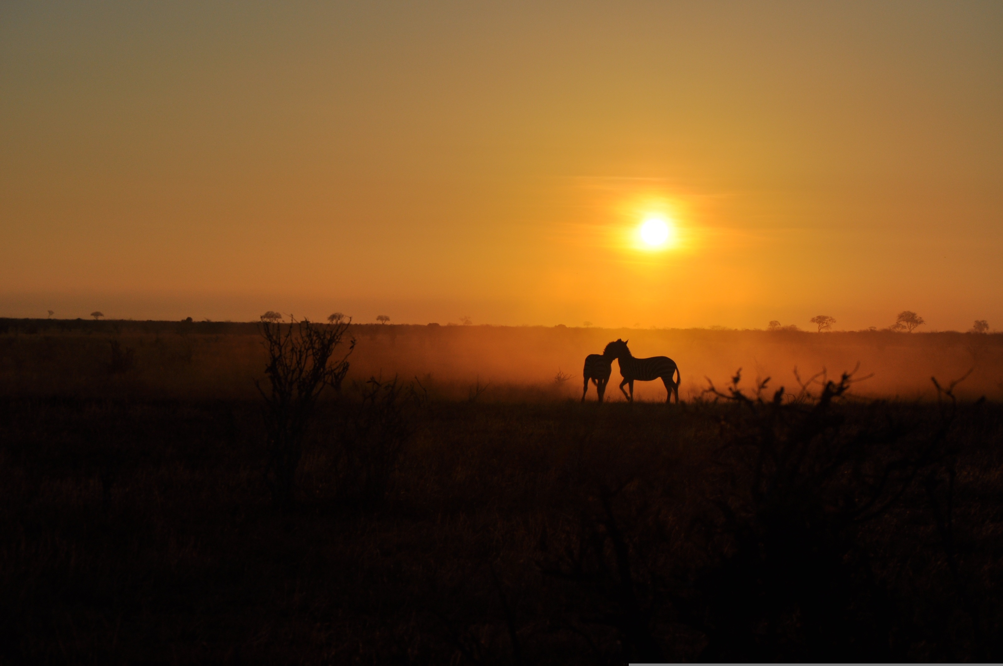Tsavo Ke